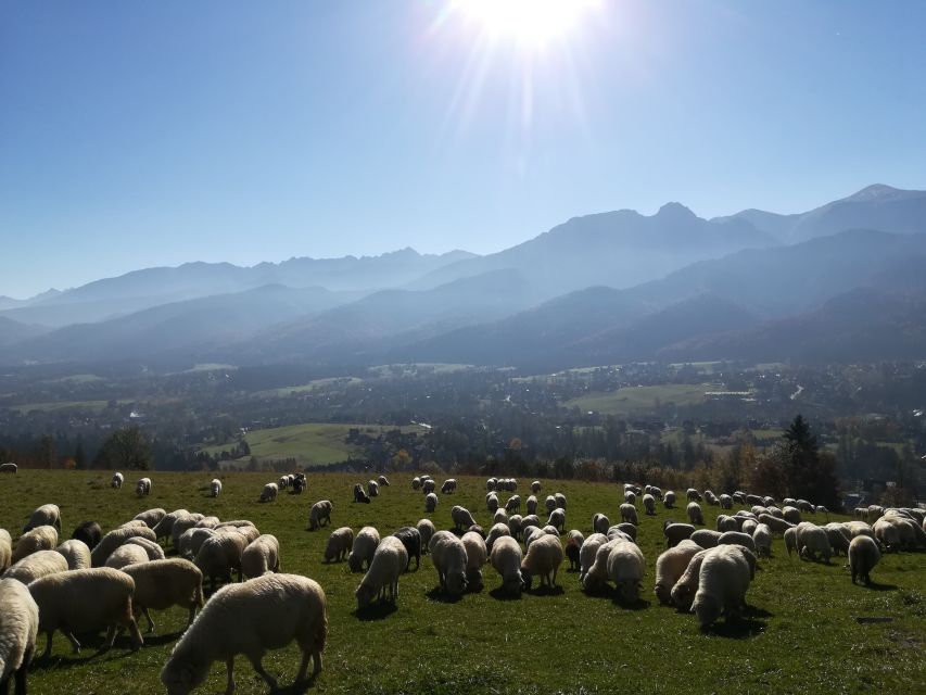 Rafting on Dunajec & Zakopane Tour – Day Trip from Krakow - From Krakow to Pieniny National Park