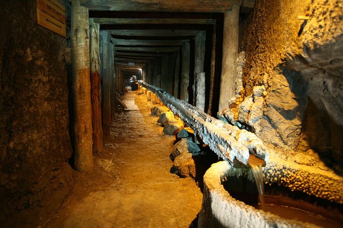 Salt Mine Wieliczka with Private Car from Krakow - The elevator saves your knees on the way out