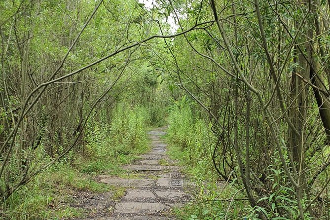 TOUR AL CAMPO DE CONCENTRACIÓN DE PLASZOW. El campo de la Lista de Schindlert. - Ejecuciones masivas en Hujowa Gorka