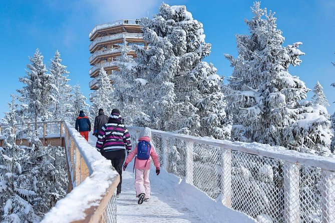 Treetop Walk in Slovakia and Thermal Baths from Krakow - Bachledka Treetop Walk and its wide mountain views