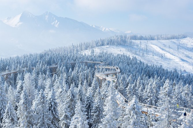 Treetop Walk in Slovakia and Thermal Baths from Krakow - Should you book the Treetop Walk and thermal baths trip?