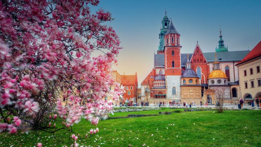 Wawel Hill Tour with Audio Guide - Starting at Bracka 15 and walking along Kanonicza Street