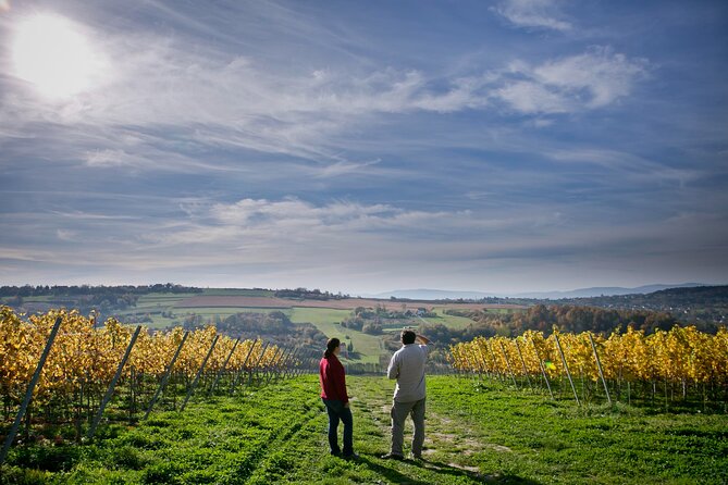Wieliczka Vineyard: Wine tasting with local snacks - Key points to know