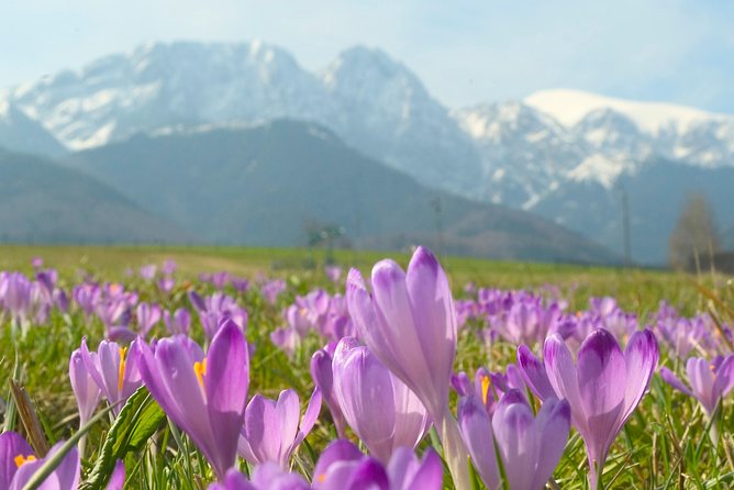 Zakopane and Tatras Mountains Day Tour from Krakow - What the $125.51 price really covers