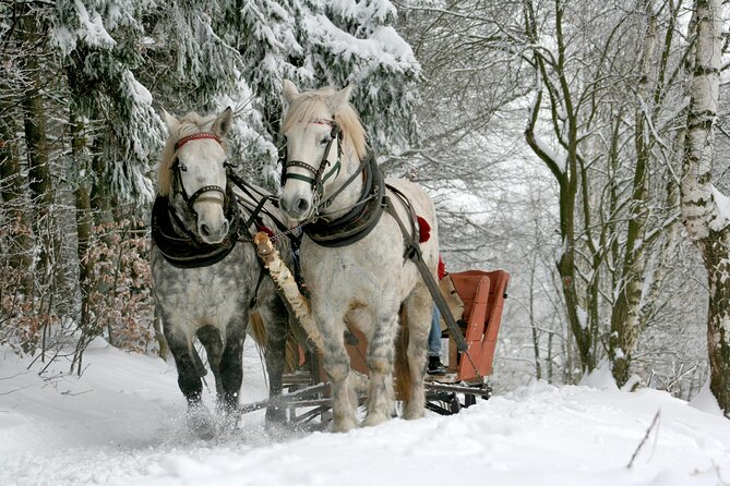 Zakopane Horse-Drawn Rides with Local Guide and Food Tasting - The bonfire is more than a snack stop