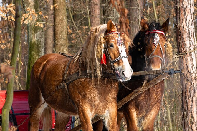 Zakopane Horse-Drawn Rides with Local Guide and Food Tasting - Pickup, timing, and group size