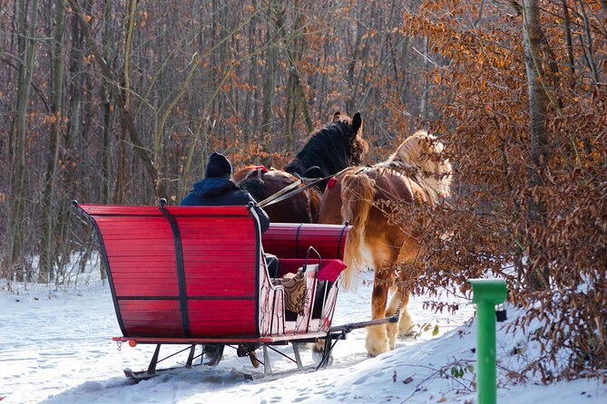 Zakopane Horse-Drawn Rides with Local Guide and Food Tasting - What is included, and what is not