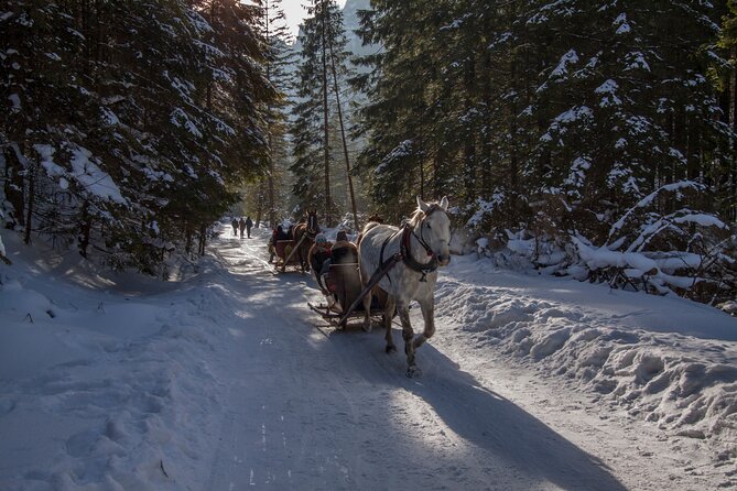 Zakopane Horse-Drawn Rides with Local Guide and Food Tasting - Who should book this outing?