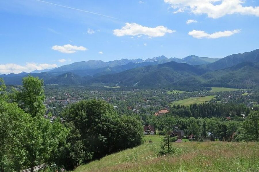 Zakopane: Sightseeing Tour from Krakow - Krupowki: shopping, food, and limited free time