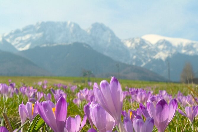 Zakopane & Tatra Mountains - Why Zakopane makes a good day from Krakow