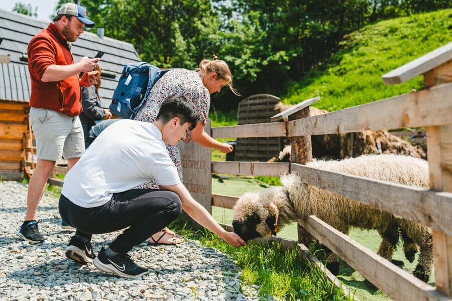 Zakopane & Tatra Mountains from Krakow – Guided Tour - Riding the Gubałówka Funicular for the Big View