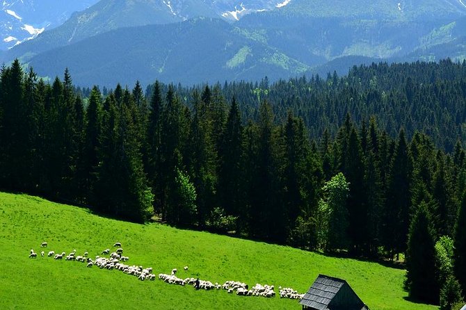 ZAKOPANE & THERMAL SPRINGS, Funicular, Cheese Tasting - Chocholow and the clean wooden houses