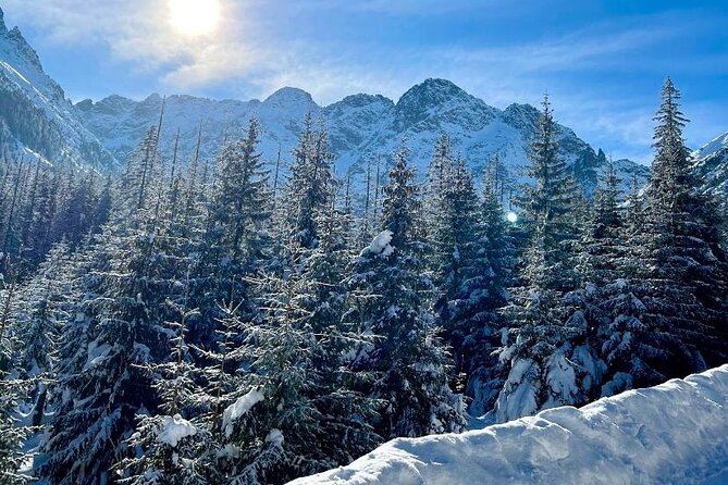 Zakopane Tour from Krakow with Thermal SPA and Hotel Pick up - Witow’s shepherd hut and regional cheese